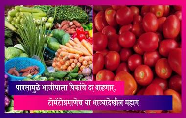 Vegetables Rates: राज्यात पावसामुळे पिकांचे दर वाढणार, टोमॅटोप्रमाणेच इतर भाज्यादेखील महाग