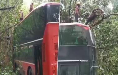 Mumbai Rains: मुंबईच्या एसी डबल डेकर बस वर पहिल्याच पावसाळ्यात कोसळलं झाड; सुदैवाने जीवित, वित्तहानी नाही