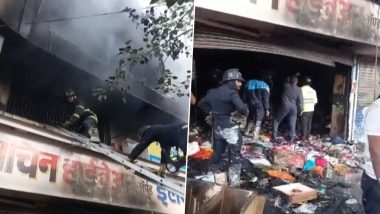 Fire At Hardware Shop in Pune: हृदयद्रावक! पुण्यात हार्डवेअरच्या दुकानाला लागलेल्या आगीत एकाच कुटुंबातील चौघांचा होरपळून मृत्यू, Watch Video