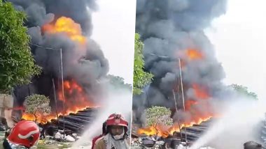 Delhi Fire: दिल्लीतील कारखान्याला भीषण आग; सुदैवाने कोणतीही जीवितहानी नाही