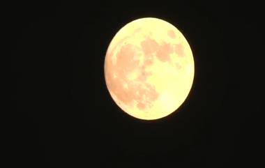 Super Blue Moon 2023: तुम्ही आजचा सुपर ब्लू मून पाहिला आहे का? बऱ्याच वर्षांनी दिसला असा अप्रतिम चंद्र (Watch Video)