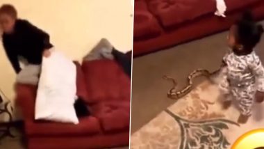 Viral video: आईला सरप्राईज द्यावे म्हणून निडर लहानग्या मुलाने पकडला साप, व्हिडिओ व्हायरल (Watch video)