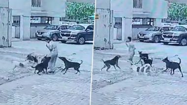 Ghaziabad Dog Attack Video: गाझियाबादमध्ये भटक्या कुत्र्यांची दहशत; डिलिव्हरी एजंटने वाचवला चिमुरड्याचा जीव, घटना CCTV मध्ये कैद