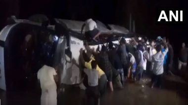 Bus Fell Into River: प्रवाशांनी भरलेली बस नदीत उलटून 3 ठार, 15 जखमी  (Watch Video)