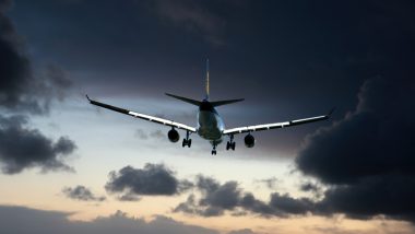 Husband-Wife Fight Makes Lufthansa Flight Divert: नवरा-बायको च्या भांडणामुळे बॅंकॉक कडे जाणारे विमान  दिल्लीत वळवले