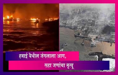 Hawaii wildfires: हवाई येथील जंगलाला आग लागून त्याचे रुपांतर वणव्यात, सहा जणांचा मृत्यू