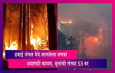 Hawaii Wildfire: हवाई जंगलाला लागलेली आग आटोक्यात आणण्यासाठी अग्निशमन दलाचे प्रयत्न सुरुच, मृतांची संख्या 53 वर