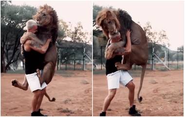 Lion Hug Man Viral Video: सिंहाने मारली माणसाला मिठी, व्हिडिओ व्हायरल