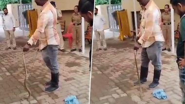 Uddhav Thackeray यांच्या 'मातोश्री' निवासस्थान आवारात आढळला किंग कोब्रा साप (Watch Video)
