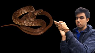 Tejas Thackeray आणि टीमकडून सापाच्या नव्या प्रजातीचा शोध