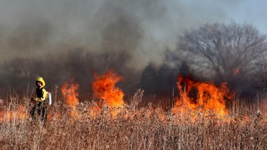 Chile Forest Fire: चिलीच्या जंगलात भीषण आग, 46 जणांचा मृत्यू