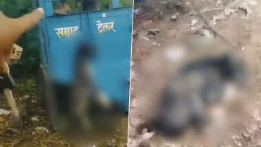 Dog Hanged to Death in Maharashtra Video: जळगावात ट्रॅक्टरच्या सीटचे नुकसान करणाऱ्या भटक्या कुत्र्याची निर्दयीपणे हत्या, व्हिडीओ व्हायरल