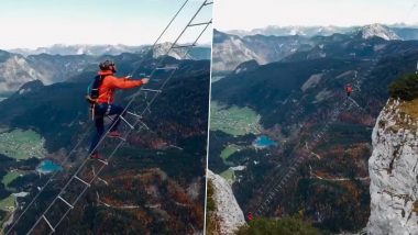 Stairway To Heaven: ऑस्ट्रियामध्ये 'स्टेअरवे टू हेवन' चढताना ब्रिटीश पर्यटकाचा मृत्यू