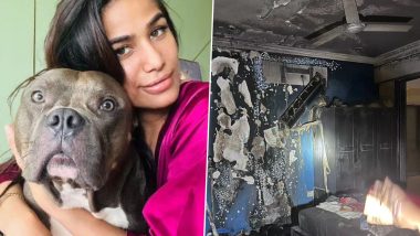 Mumbai News:  पूनम पांडे हिच्या मुंबई  येथील घराला आग, कोणतीही जीवित हानी नाही, पाळीव कुत्र्याचे प्राण वाचविण्यात यश