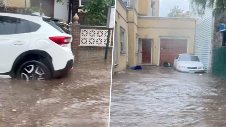 Brooklyn Flooding:  अमेरिकेच्या न्यूयॉर्क मधील ब्रुकलिन शहरात पावसाचा हाहाकार; कचर्‍याचे डब्बेही गेले वाहून (Watch Video)