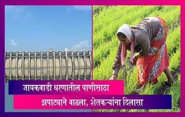 Jayakwadi Dam Water Level: मराठवाड्यासह राज्यातील अनेक भागात जोरदार पाऊस, जायकवाडी धरणातील पाणीसाठा झपाट्याने वाढला, शेतकऱ्यांना दिलासा