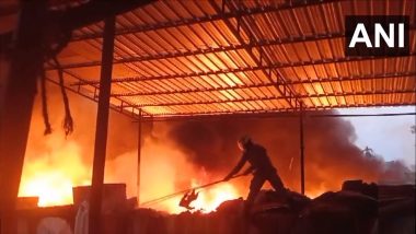 Kamrup-Metro district: आसाममधील कामरूप-मेट्रो जिल्ह्यातील प्लॅस्टिक गोदामाला भीषण आग (watch video)