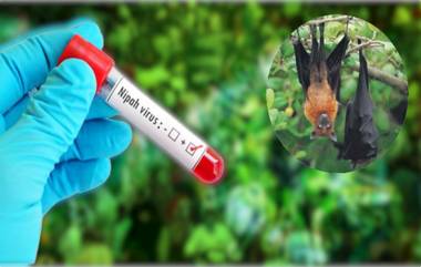 Kerala Nipah Virus: केरळमध्ये निपाह व्हायरसचा धोका वाढला, ऑस्ट्रेलियातून मागवले अँटीबॉडीचे डोस