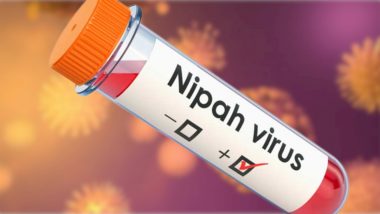 Nipah virus In Kerala: केरळ मध्ये निपाह च्या पार्श्वभूमीवर NIV Pune टीम सुरू करणार मोबाईल लॅब्स; वटवाघुळांचाही होणार सर्व्हे