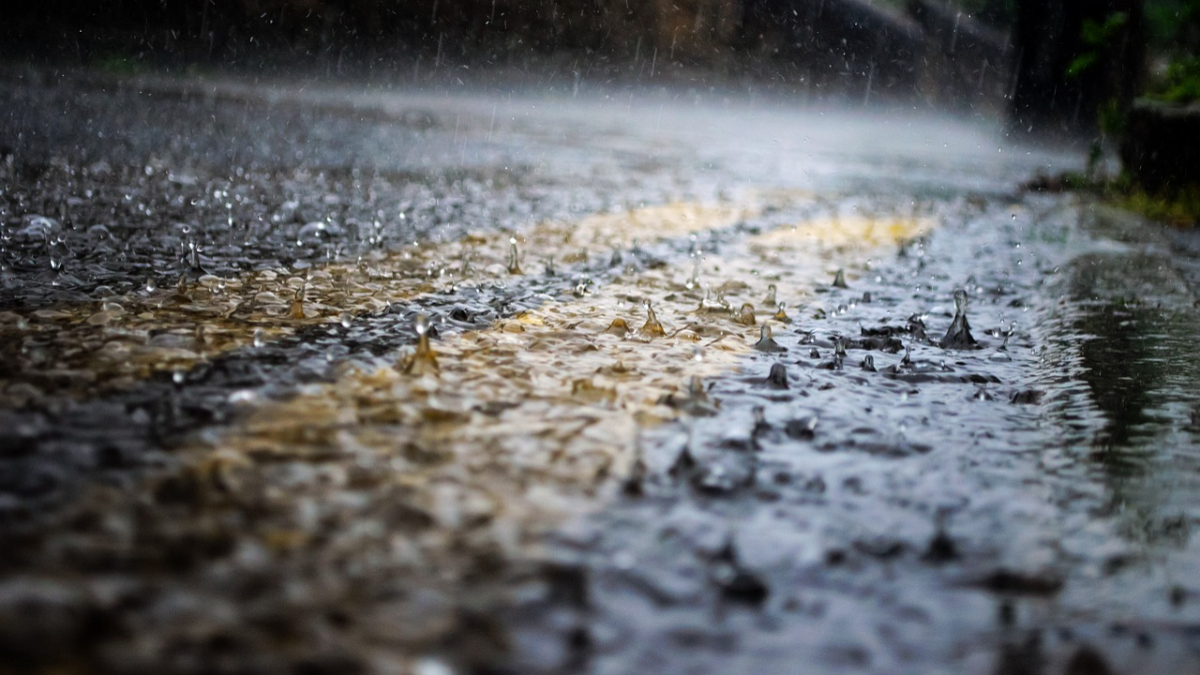 Maharashtra Weather Update: 'मिचॉन्ग' चक्रीवादळामुळे राज्यात अवकाळी पावसाचा अंदाज, हवामान विभागाने दिला इशारा