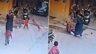 Dog Attack in Hyderabad Video: भटक्या कुत्र्याचा लहान मुलावर प्राणघातक हल्ला; CCTV मध्ये कैद झाली भीषण घटना (Watch)
