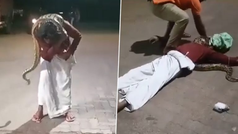 Viral Video: केरळमधील कन्नूरजवळील पेट्रोल पंपावरील मद्यधुंद व्यक्तीला अजगरासोबत फोटो काढण पडलं महागात; तुम्हीचं बघा काय घडलं