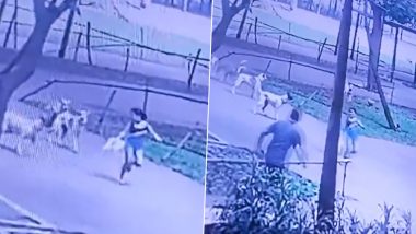 Thane News:  ठाण्यात चिमुकलीवर भटक्या कुत्र्यांचा हल्ला, घटना सीसीटीव्हीत कैद