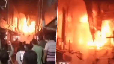 Surat Fire: गुजरातच्या सुरत मधील Bombay Market मध्ये भीषण आग  (Watch Video)
