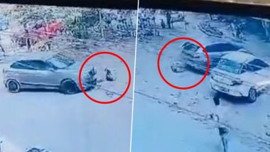 UP Shocker: : गाझियाबादमध्ये क्रूरतेची हद्यपार; रस्त्यात झोपलेल्या कुत्र्याला कार चालकाने चिरडले, घटना सीसीटीव्हीत कैद