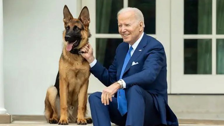 Bidens' dog Commander removed from White House: अमेरिकेचे अध्यक्ष जो बिडेन यांच्या कुत्र्याला व्हाईट हाईसमध्ये प्रवेश बंद, वाचा हे आहे कारण