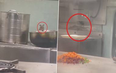 Rats Inside Train Pantry Video: संतापजनक, रेल्वेच्या पेट्री कारमध्ये उंदारांचा धुमाकुळ, मडगाव एक्सप्रेसमधील व्हिडिओ व्हायरल