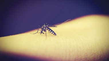 Dengue Outbreak in Bangladesh: डेंग्यू आजारामुळे 1000 जणांचा मृत्यू