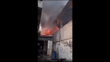 Fire Broke Out in Delhi: दिल्ली येथील उद्योग नगर येथील पीरा गढी परिसरात आग, घटनास्थळी  अग्निशमन दलाच्या  33 गाड्या दाखल (Watch Video)