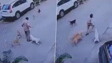 Mumbai- Postman Attacked By Dog Video: मुंबईत भटक्या कुत्र्यांचा सुळसुळाट; पवई मध्ये पोस्टमन वर हल्ला (Watch Video)