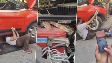 Python In Car Engine: कारच्या इंजिनमध्ये लपला होता 6 फूट लांबीचा अजगर; VIDEO पाहून अंगावर येईल काटा (Watch)