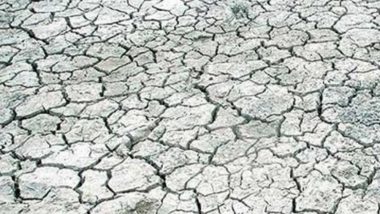Worst Drought-Hit Region: मराठवाडा ठरला राज्यातील सर्वाधिक दुष्काळग्रस्त प्रदेश; जमिनीमध्ये ओलावा नसल्याने रब्बीच्या पेरणीवर विपरीत परिणाम