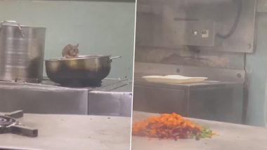 Rat Menace In Mumbai-Goa Express Pantry: एलटीटी-मडगाव एक्स्प्रेसच्या किचनमधील अन्नावर आढळले उंदीर; प्रवाशाने शूट केला धक्कादायक व्हिडिओ (Watch)