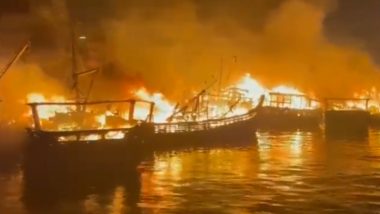 Andhra Pradesh Fishing Harbour Fire Video: विशाखापट्टणमच्या मासेमारी बंदरात भीषण आग, अग्निशमन दलाच्या अनेक गाड्या घटनास्थळी, पाहा व्हिडिओ