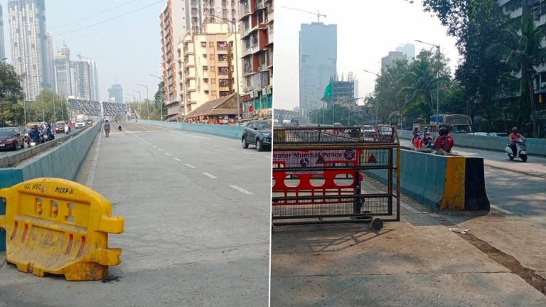 Delisle Road Bridge Opening: डिलाईल रोड पुलाचे उद्या उद्धाटन होण्याची शक्यता, दक्षिण मुंबईतील नागरिकांना मिळणार दिलासा