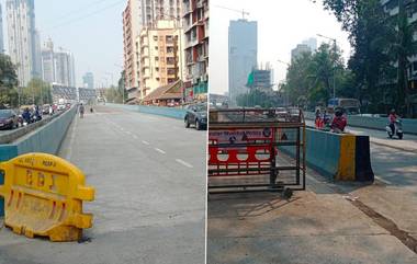 Delisle Road Bridge Opening: डिलाईल रोड पुलाचे उद्या उद्धाटन होण्याची शक्यता, दक्षिण मुंबईतील नागरिकांना मिळणार दिलासा