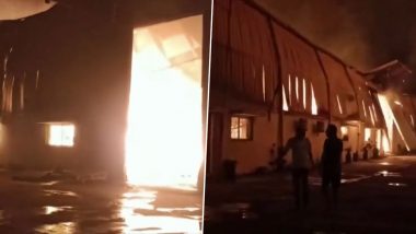 Gujarat Fire News: वलसाड येथील पेपर फॅक्टरीला आग, कोणतीही जीवितहानी नाही