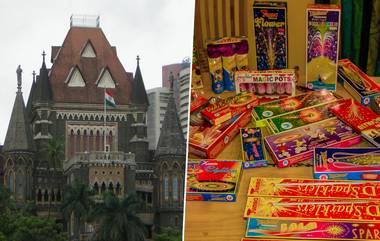 Bombay HC On Firecrackers: यंदा मुंबईकरांना फक्त दोन तासच फटाके फोडता येणार, हायकोर्टाने दिला आदेश; जाणून आतिषबाजीची वेळ