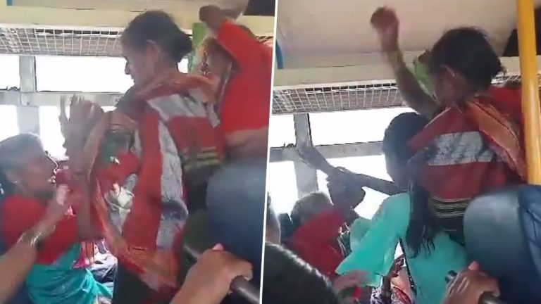 Women Fight Video: कर्नाटकात सरकारी बसमध्ये सीटसाठी महिलांची मारामारी,सोशल मीडियावर व्हिडिओ व्हायरल