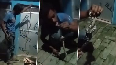 Snake Bite Viral Video: भगवान शिव असल्याचे भासवून तरुणाचा नशेत सापासोबत खेळ; सर्पदंशामुळे तरुणाचा मृत्यू, पहा व्हिडिओ