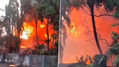 Gujarat Fire Video: वलसाड जिल्ह्यातील उमरगाम GIDC परिसरातील कंपनीत भीषण आग; कोणतीही जीवितहानी नाही