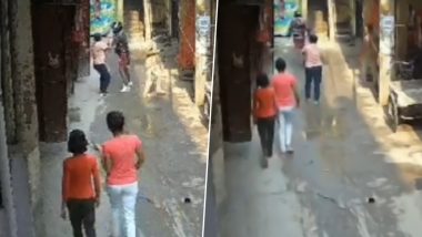 Viral Video: दिल्लीत दुचाकीवरून आलेल्या चोरट्याने महिलेवर चाकूने हल्ला करून सोनसाखळी हिसकावली, पहा व्हिडिओ
