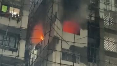 Navi Mumbai Fire: नवी मुंबईतील सानपाडा येथील निवासी इमारतीला लागली भीषण आग, कोणतीही जीवितहानी नाही