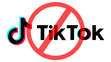 Tiktok Ban In Nepal: आता नेपाळसह 11 हून अधिक देशांमध्ये टिकटॉकवर बंदी
