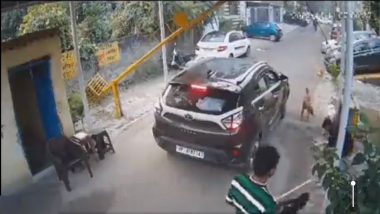 Ghaziabad: कारची रस्त्यावर कुत्र्याला धडक, घटना सीसीटीव्हीत कैद (Watch Video)