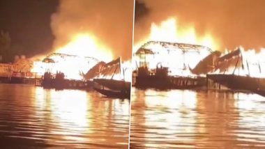 Dal Lake Fire: श्रीनगर मधील दल लेक वर हाऊस बोटींना भीषण आग (Watch Video)